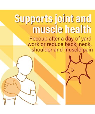 Plant Therapy Turmeric Black Pepper Supplement Capsules Manufactured in USA 4 Month Supply Supports Joint and Muscle Health Supplements for Women & Men 120 Vegetarian Capsule - Buy Online on GoSupps.com