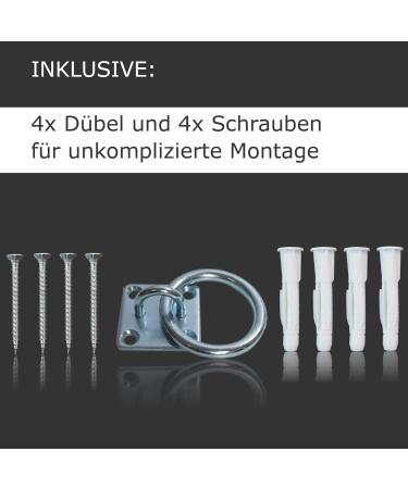 High-Quality Stainless Steel Tie Ring | Perfect for Tying Horses & Cattle | Durable Fastening Hook & Eye Plate - Buy Online on GoSupps.com