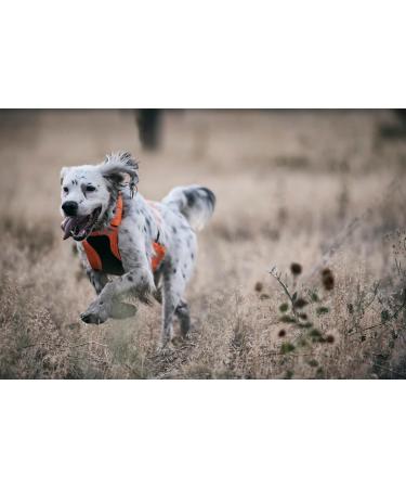 Browning Dog Protection Vest Dog Hunting Vest Safety Orange Medium Orange M - Buy Online on GoSupps.com