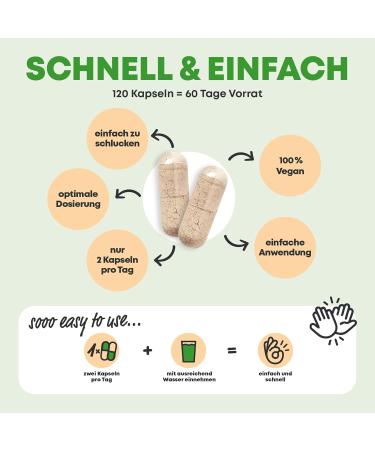 Bitter Fabrics Capsules - 120 Vegan Capsules with 11 Natural Herbs | Ginger Dandelion Turmeric & More | Enhance Digestion & Wellness - Buy Online on GoSupps.com