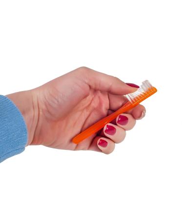 Dukal Orange Toothbrushes 144 Pack - Short Handle, Soft Bristles, Rounded Tips, Ideal for Sensitive Enamel - Individually Packaged - Buy Online on GoSupps.com