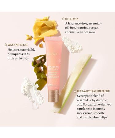 Biossance Squalane + Rose Vegan Lip Balm with Hyaluronic Acid and Ceramides - Moisturizing, Plumping, and Petroleum-Free (0.52 oz) - Buy Online on GoSupps.com