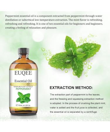 Peppermint essential oil (4 oz/118 ml) Pure Essential Oil - with Glass Dropper Great for Aromatherapy Diffuser Candle Making - Buy Online on GoSupps.com