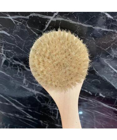 Natural Bristle Short Handle Body Brush for Exfoliating, Dry Brushing, and Skin Care - Buy Online on GoSupps.com