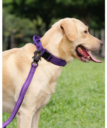 Joytale Tactical Dog Collar with Handle for Large Dogs - Purple LL | QR Code Dog Tag | Durable & Adjustable - Buy Online on GoSupps.com
