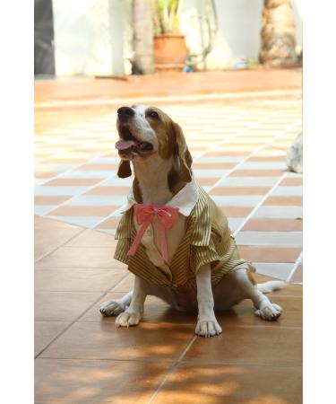 Shop Doggy Dolly F036 Tuxedo for Dogs | Stylish Bow Tie | Gold Striped | XXS Size 26-28cm Chest 13-15cm Back - Buy Online on GoSupps.com