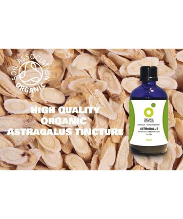 Organic Astragalus Tincture - 100ml | Herbal Remedies for Immune Support - Buy Online on GoSupps.com