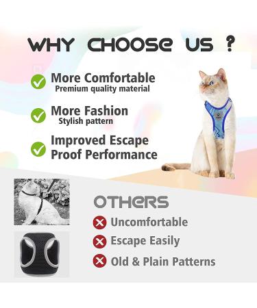 Supet Cat Dishes & Line Set - Perfect Feeding Solution for Kittens | International Shipping Available - Buy Online on GoSupps.com