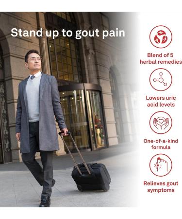 Organika Goutrin- Gout Relief Formulation Reduce Uric Acid Diuretic 120 vcaps 120 count (Pack of 1) - Buy Online on GoSupps.com