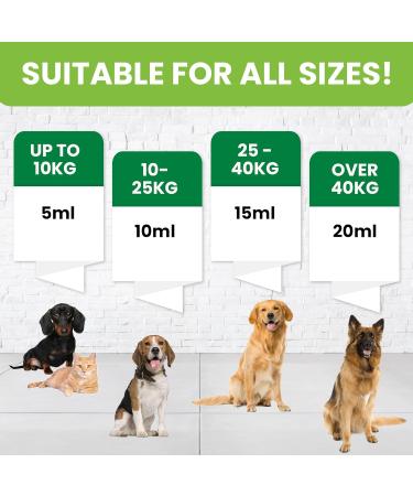 Tummy Relief for Dogs - Fast-Acting Diarrhea Treatment & Stomach Settler - Gut Health Supplement - Liquid Medicine for Upset Stomach - 250ml - Buy Online on GoSupps.com