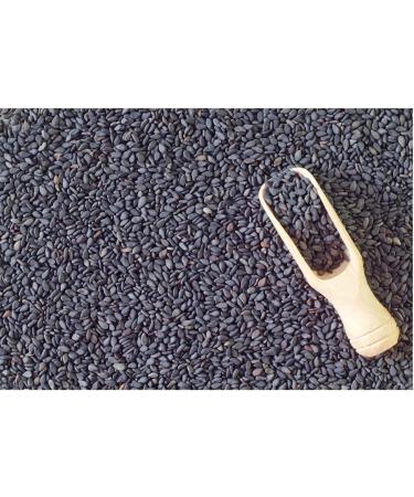 16 oz Pure Black Seed Oil - Cold Pressed Nigella Sativa - Non-GMO & Vegan - Buy Online on GoSupps.com