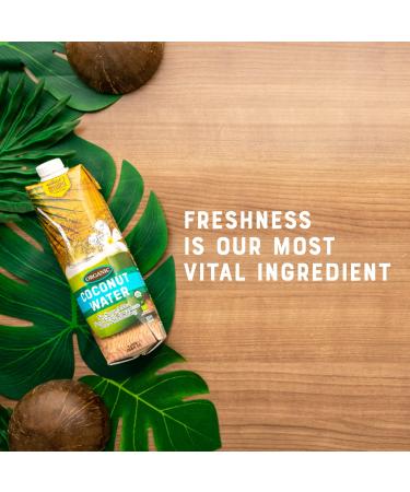 Nature's Greatest Foods Organic Coconut Water - USDA Organic Certified, No Sugar Added, Pure & Refreshing - 33.8 fl oz (Pack of 6) - Buy Online on GoSupps.com