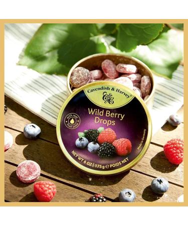 Cavendish & Harvey Wild Berry Drops - 175G (Pack of 9) | Premium German Candy for International Shipping - Buy Online on GoSupps.com