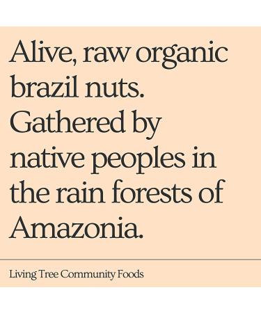 Organic Brazil Nut Butter - Fresh & Raw | Living Tree Community Foods | 16oz Jar | Small Batch, Always Fresh - Buy Online on GoSupps.com