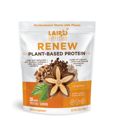 Laird Superfood Renew Plant-Based Protein Powder, 19 Grams Protein, Vegan with Sasha Inchi Seed Protein, Four Functional Mushrooms, Preservative Free, Gluten-Free, Dairy-Free, 16 oz. Bag Unflavored