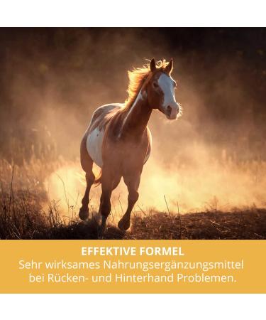 Sensipharm Smooth Locomotion - 180 Joint Tablets for Horses | Supports Back Hind Legs Muscles & Joints | 1000 mg for Optimal Mobility - Buy Online on GoSupps.com