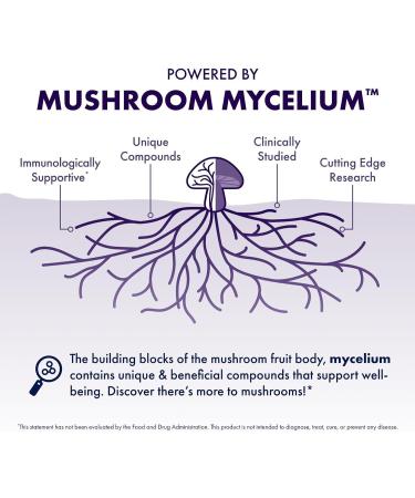 Host Defense Lion's Mane Powder - Brain Health Support Supplement - Mushroom Supplement to Support Focus & Memory Function - Immune & Nervous System Support Supplement - 7 oz (133 Servings)* 7 Ounce (Pack of 1) - Buy Online on GoSupps.com