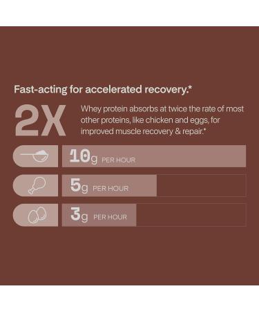 Oath Nutrition Whey Protein Powder Chocolate Brownie 25 Grams of Protein and Only 1 Gram of Sugar per Serving 2 lbs 25 Servings - Buy Online on GoSupps.com