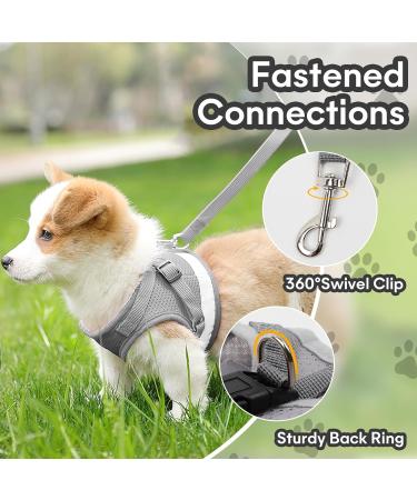 Adjustable Cat Dishes with Leash - Soft Lining Breathable Mesh & Reflective Outdoor Training Set XS (Gray) | International Shipping Available - Buy Online on GoSupps.com