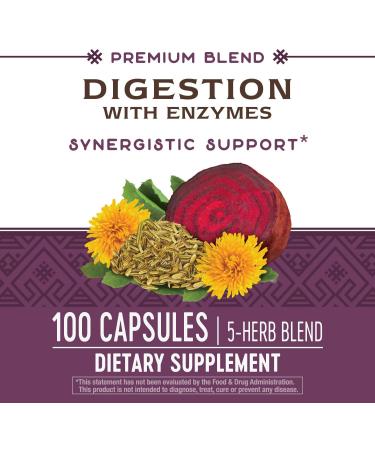 Nature's Way Digestion with Enzymes - 100 Capsules for Optimal Digestive Health - Buy Online on GoSupps.com