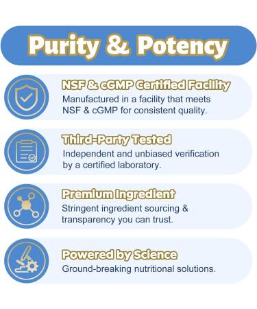 Glucosamine Chondroitin MSM & Magnesium Complex Supplement Set, 2 individual bottles Glucosamine Complex and Magnesium Complex for Cartilage, Joint Health and Muscle Bone Support- 240 Capsules 120 Count (Pack of 2) - Buy Online on GoSupps.com