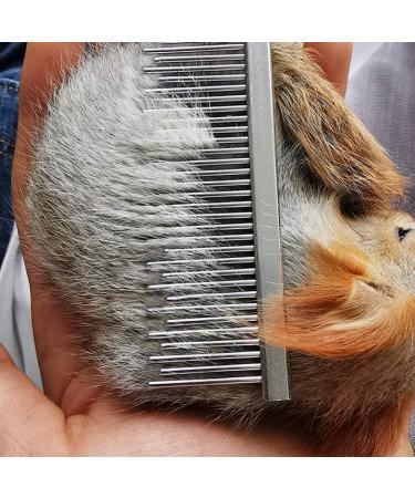 HirrWill 2 Pieces Small Pet Hair Buster Comb Grooming Comb Stainless Steel Long and Short Teeth Comb for Rabbits Hamsters Guinea Pigs Removes Tangles Mats Shed Hair and Dirt (Red and Blue) - Buy Online on GoSupps.com
