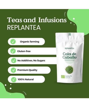 Horsetail Tea Organic 100g (50 Cups) | Horsetail Organic Herbal Leaf Tea | Equisetum Arvense REPLANTEA - Buy Online on GoSupps.com