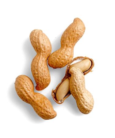 Buy Seeberger Jumbo Peanuts - 1 kg (Pack of 2) | Premium Quality | International Shipping Available - Buy Online on GoSupps.com