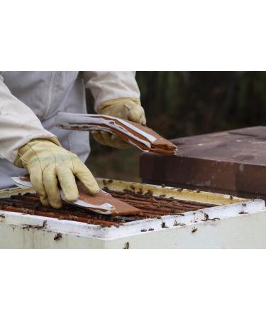 Global Patties 4% Pollen Patties for Bees - 1 lb | Protein Food Supplement for Honey Bees - Buy Online on GoSupps.com