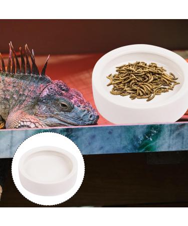 JNAWA 2 Pieces Worm Dish Mini Reptile Food Bowl White Ceramic Reptile Round Feed Bowl Ceramic Water Bowl for Geckos Frogs Lizards Chameleons - Buy Online on GoSupps.com