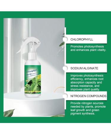 Chlorophylle Vapeur Solution Nutriments Solution Croissance des Am liorateurs Suppl ments Stimulateurs Enracin s Solution Concentr e 1 Bottle - Buy Online on GoSupps.com