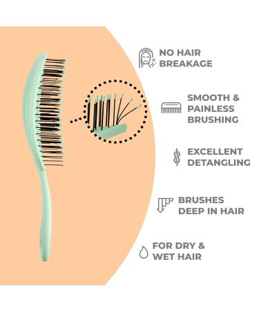 Ninabella Bio Hairbrush - Sustainable Detangler for Women Men & Children | Eco-Friendly No Tangle Hair Brush for Long & Wet Hair - Buy Online on GoSupps.com