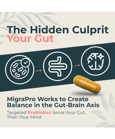 Dr. Munnerlyn MigraPro with Probiotics Brain and Gut Health Support Supplement with Magnesium Riboflavin CoQ10 Ginger Root Asian Ginseng Vitamin C Feverfew & Turmeric Gluten Free 90 Capsules - Buy Online on GoSupps.com