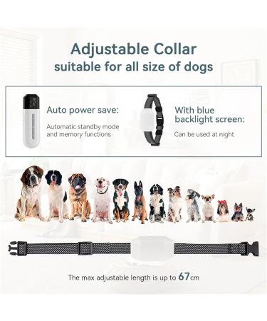 Classic Nylon Dog Collars - Breathable Waterproof & Easy to Handle for All Sizes - Buy Online on GoSupps.com