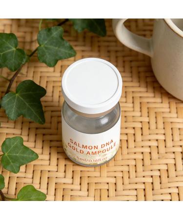 Jingmiger Brightening Face Lotion 10 Bottles of Natural Brightening and Moisturizing Treatments | Nighttime Face Care | for Nighttime Makeup Travel Pre- and Post-Sun Autumn Winter Summer Spa Massage Home - Buy Online on GoSupps.com