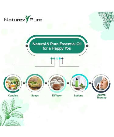 Naturex Pure Spearmint Essential Oil 4 Oz - 100% All Natural Aromatherapy Oil for Therapeutic Grade Oriental Body Massage & Skin Care w/ Premium Dropper - Buy Online on GoSupps.com