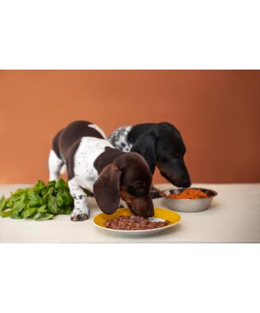 Canina Pharma Barfer's Best Junior 350 g - Buy Online on GoSupps.com