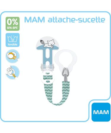 MAM Mixed Succulents - Random Color for All Ages | French Instructions | Ideal for Gifts & Home Decor - Buy Online on GoSupps.com