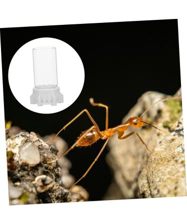 Yardwe Ant Water Dispenser - Ideal for Ant Nests & Feeding | 6.00x3.70x3.70cm | International Shipping - Buy Online on GoSupps.com