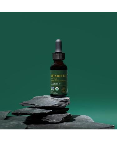 Global Healing Center VeganSafe B12 2500mcg Sublingual Liquid Drops | 2-in-1 Methylcobalamin & Adenosylcobalamin Blend for Energy, Mood, and Heart Health | 1 Fl Oz (2-Pack) - Buy Online on GoSupps.com