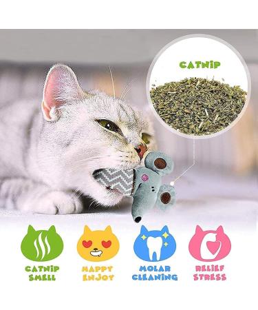 Set of 10 Catnip Toys for Indoor Cats | Interactive & Squeaky Kitten Supplies for Dental Health | Perfect Gift for Cat Lovers - Buy Online on GoSupps.com