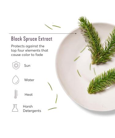 Madison Reed Color Solve Total Volume Shampoo - 8 Fl Oz - Buy Online on GoSupps.com