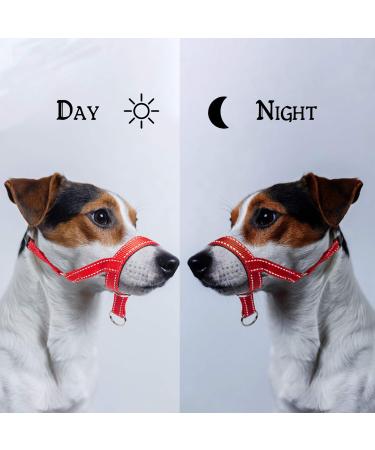 ILEPARK Dog Halver - Adjustable Colorful Head Harness for Training Dogs to Stop Pulling (Large Blue) - Easy to Use - Buy Online on GoSupps.com