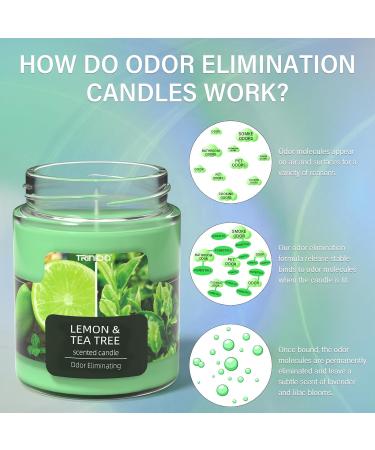 TRINIDa Lemon & Tea Tree Scented Odor Eliminating Candles Gift Set - Premium Natural Soy Candles for Women | Eliminates 99% of Pet, Smoke, & Other Odors Quickly - Buy Online on GoSupps.com