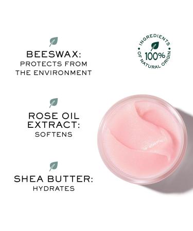 NUXE Very Rose Organic Lip Balm - 100% Natural Moisturizer for Cracked & Dry Lips | Shea Butter & Beeswax | 0.52 Oz - International Shipping Available - Buy Online on GoSupps.com