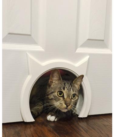 The Kitty Pass Interior Cat Door Hidden Litter Box Pet Door for Cats up to 21 lbs Pet Box White