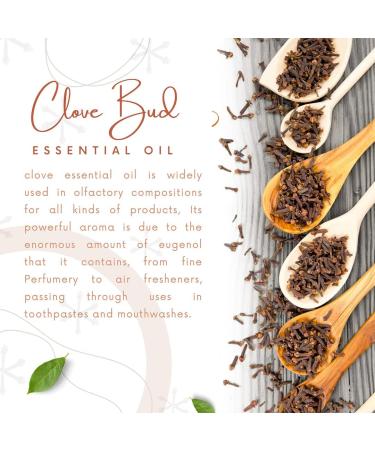 Natural Riches Pure Clove Essential Oil 4 Fl Oz - Therapeutic Grade for Tooth Ache & Muscle Relief - Teeth, Gums, Skin, and Hair Care - Buy Online on GoSupps.com