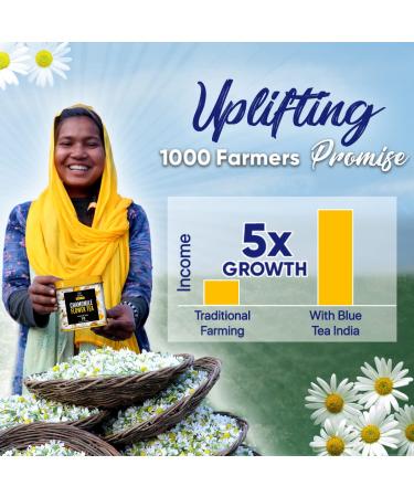 Blue Flower Tea Gift Set - 45 Assorted Tea Bags | Mother's Day Gift for Mom - 9 Flavors Flower Based Tea - Buy Online on GoSupps.com
