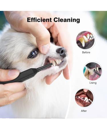 Dog Teeth Cleaning Tools with LED Light 3 Modes Dog Plaque Tartar Remover for Teeth Detachable Teeth Cleaning Kit for Dogs Cats Grey - Buy Online on GoSupps.com