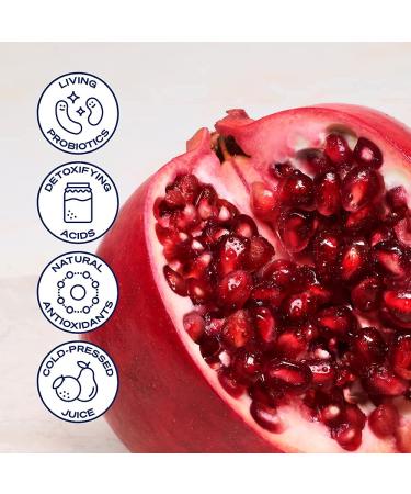 Health-Ade Kombucha Tea Organic Drink | Living Probiotics & Detoxifying Acids | Gut Health Support | Non-GMO, Vegan & Gluten Free | 12 Pack (16 Fl Oz Bottles) - Buy Online on GoSupps.com